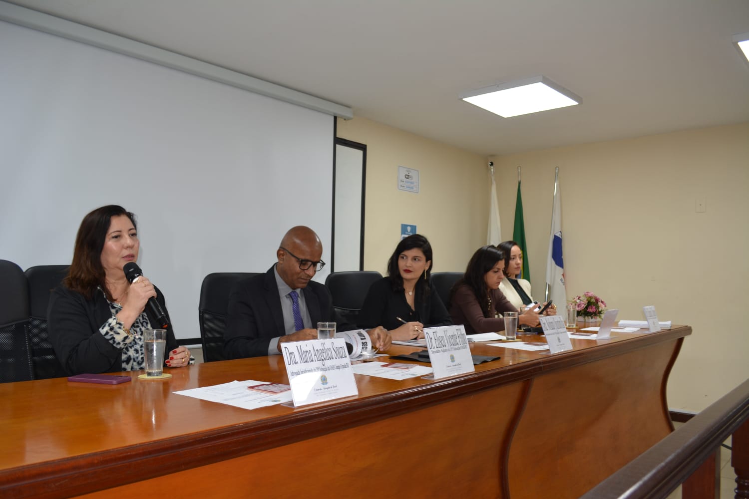 Foto da Galeria